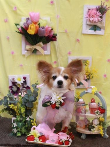 20230318一ちゃん